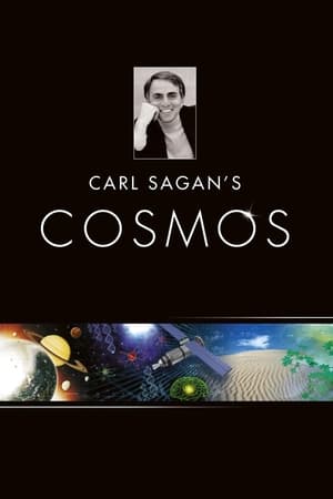 Cosmos: Un viaje personal T 1 C 5 online gratis