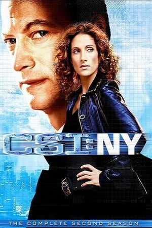 CSI: Nueva York Temporada 2 online gratis