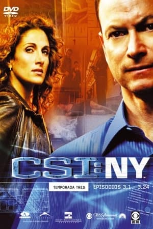 CSI: Nueva York T 3 C 10 online gratis