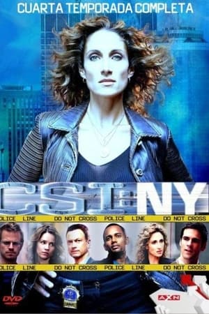 CSI: Nueva York Temporada 4 online gratis