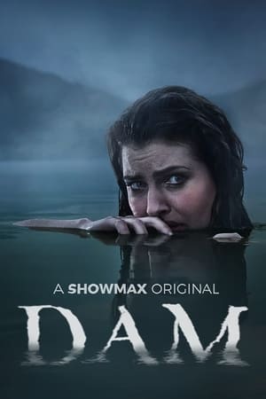 Dam temporada  1 online