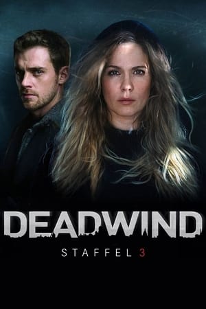 Deadwind temporada  3 online