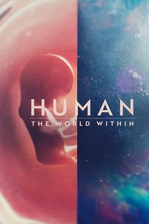 Dentro del cuerpo humano Temporada 1 online gratis