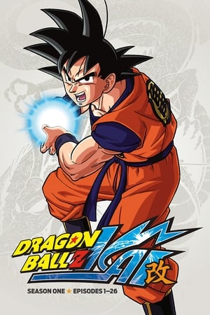 Dragon Ball Kai T 1 C 25 online gratis