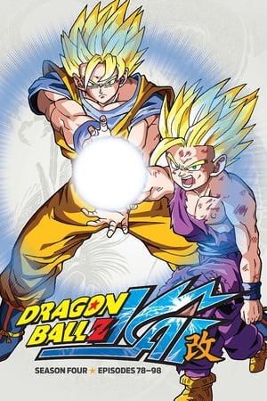 Dragon Ball Kai T 4 C 2 online gratis