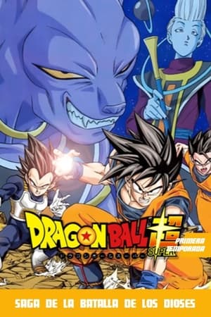 Dragon Ball Super T 1 C 94 online gratis