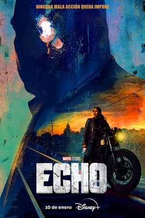 Echo Temporada 1 online gratis