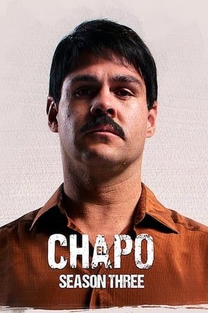 El Chapo T 3 C 1 online gratis