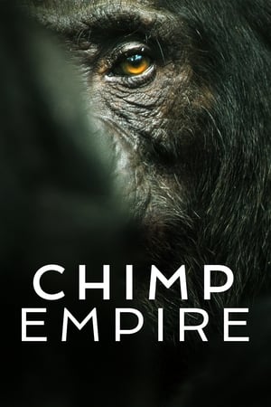 El imperio de los chimpancés T 1 C 4 online gratis