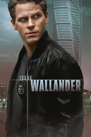 El joven Wallander T 1 C 4 online gratis