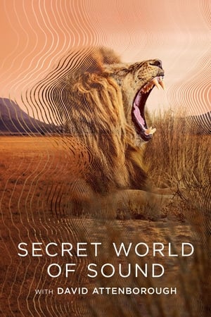 El mundo secreto del sonido con David Attenborough T 1 C 1 online gratis