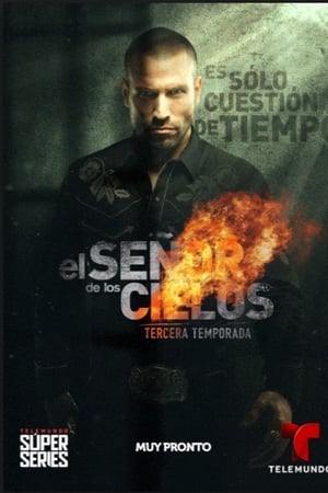 El señor de los cielos T 3 C 3 online gratis