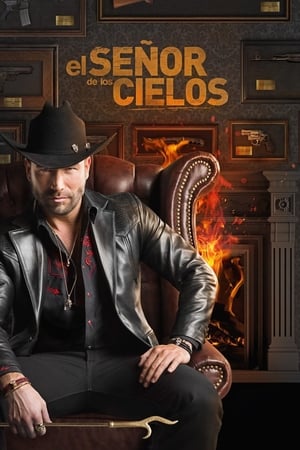 El señor de los cielos T 5 C 20 online gratis