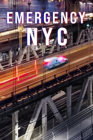 Emergencias: Nueva York T 1 C 1 online gratis