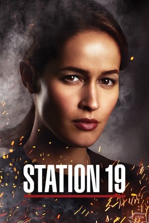 Estación 19 Temporada 2 online gratis