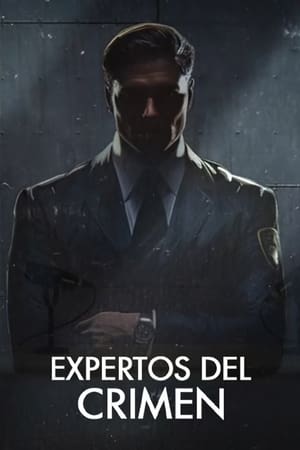 eXpertos del crimen T 1 C 25 online gratis