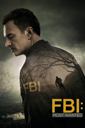 FBI: Most Wanted T 1 C 3 online gratis