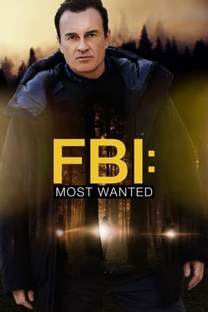 FBI: Most Wanted T 3 C 20 online gratis