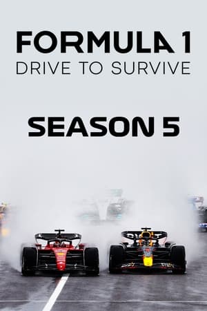 Formula 1: La emoción de un Grand Prix T 5 C 8 online gratis