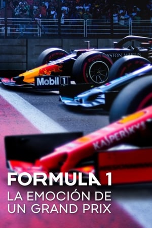 Formula 1: La emoción de un Grand Prix Online gratis