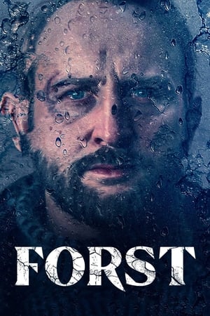 Forst Temporada 1 online gratis