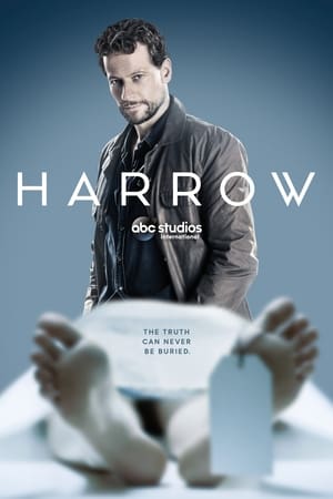 Harrow Temporada 1 online gratis