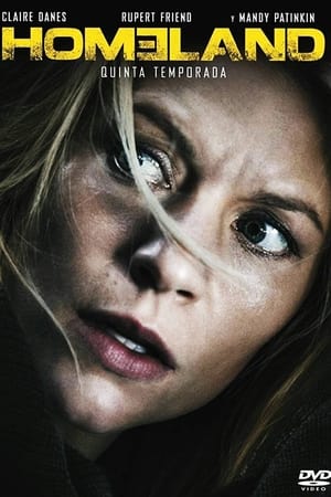 Homeland T 5 C 11 online gratis