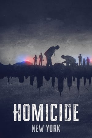 Homicidio T 1 C 4 online gratis