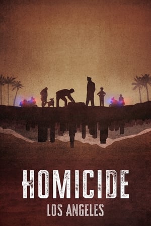 Homicidio T 2 C 2 online gratis