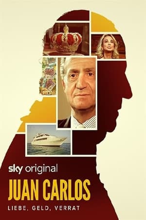 Juan Carlos: La caída del rey Temporada 1 online gratis