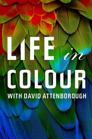 La vida a todo color, con David Attenborough online gratis