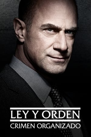 Ley y orden: Crimen organizado Temporada 1 online gratis