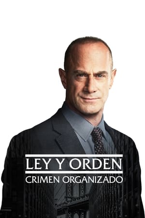 Ley y orden: Crimen organizado T 2 C 15 online gratis