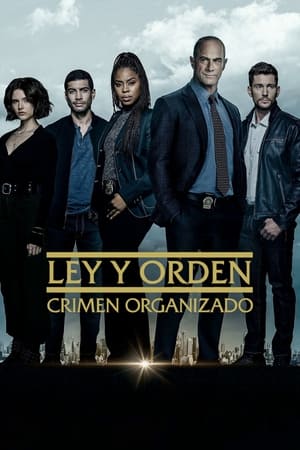 Ley y orden: Crimen organizado T 3 C 11 online gratis