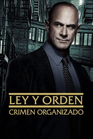 Ley y orden: Crimen organizado T 4 C 5 online gratis