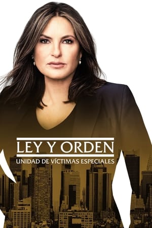 Ley y orden: Unidad de Víctimas Especiales T 23 C 18 online gratis