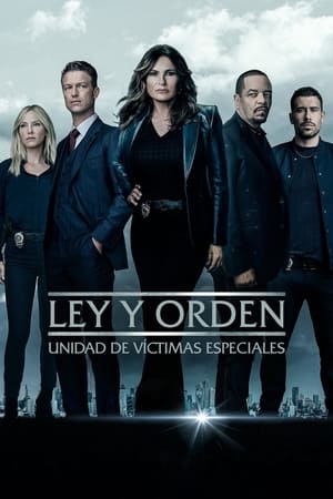 Ley y orden: Unidad de Víctimas Especiales T 24 C 17 online gratis