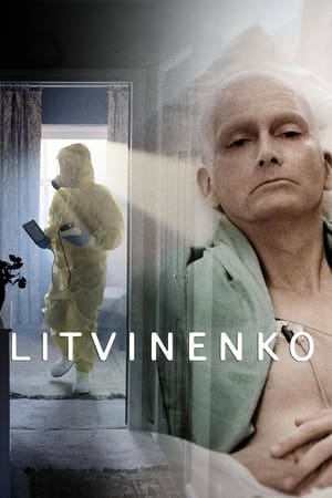 Litvinenko T 1 C 4 online gratis