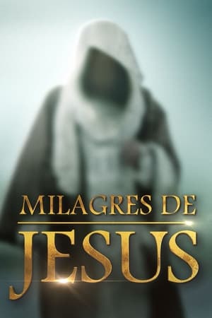 Los Milagros De Jesus T 1 C 11 online gratis