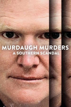 Los Murdaugh: Muerte y escándalo en Carolina del Sur T 1 C 3 online gratis