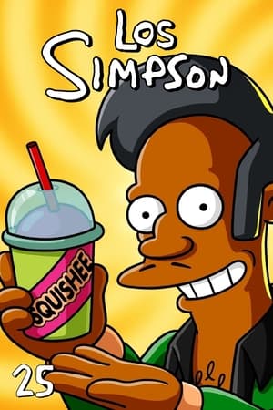 Los Simpson temporada  25 online