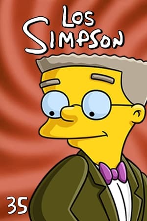 Los Simpson T 35 C 17 online gratis