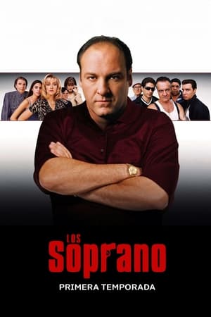 Los Soprano T 1 C 4 online gratis