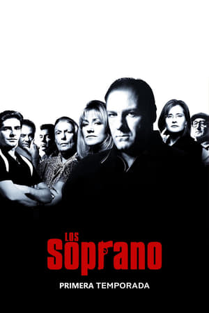 Los Soprano Temporada 2 online gratis