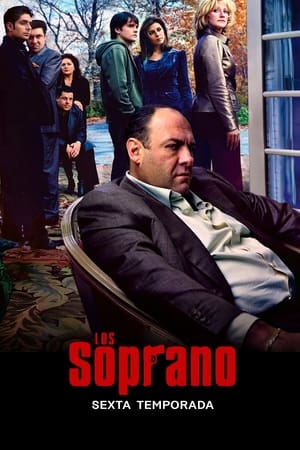 Los Soprano Temporada 6 online gratis