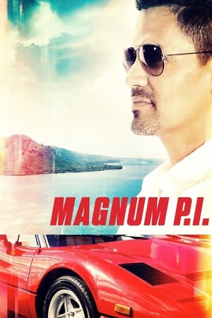 Magnum T 2 C 11 online gratis