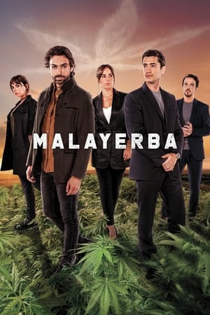 MalaYerba T 1 C 2 online gratis