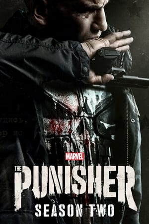 Marvel - The Punisher Temporada 2 online gratis