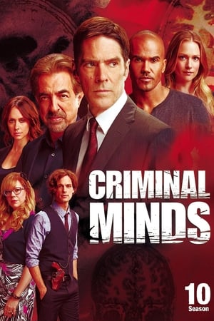 Mentes criminales T 10 C 14 online gratis