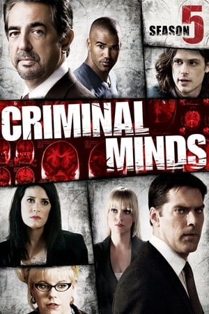 Mentes criminales T 5 C 12 online gratis